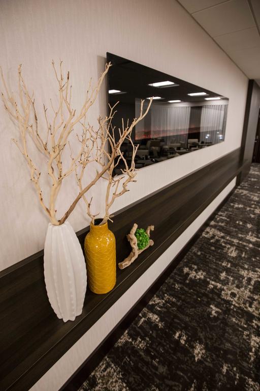 Готель Wyndham Chicago O'Hare Розмонт Екстер'єр фото